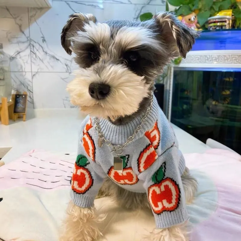 Carta camisola roupas para cãe - Winter Clothing For Kids avaliação e preço
