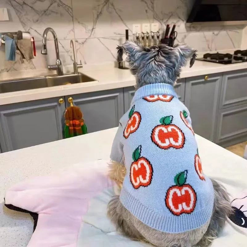 Carta camisola roupas para cãe - Winter Clothing For Kids avaliação e preço